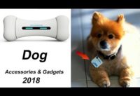 7 Cool Dog Accessories & Gadgets You Must Have
