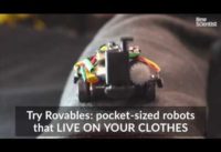 Wearable pet robots