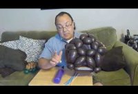 Wearable Turtle Shell Balloon Animal Tutorial (Balloon Twisting & Modeling #18)