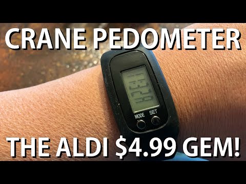 REVIEW:  Crane Pedometer from Aldi's .99 - Cheap and Fantastic!