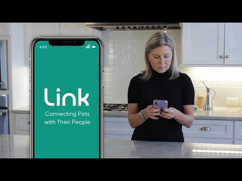 Unboxing The Link Smart Pet Wearable Device